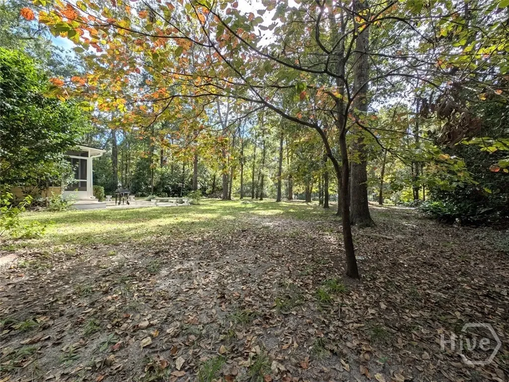277 Mclaughlin Lane Richmond Hill GA 31324