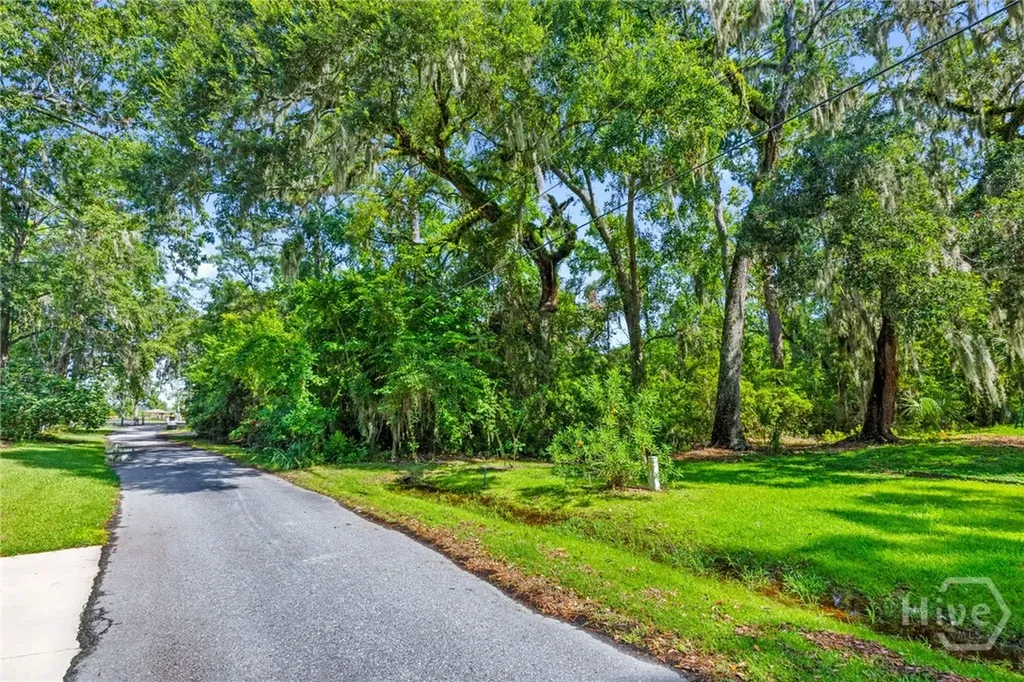 0 Pinetree Road Midway GA 31320