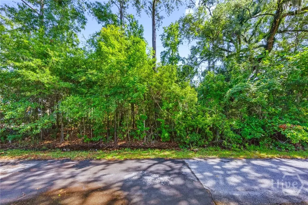 0 Pinetree Road Midway GA 31320