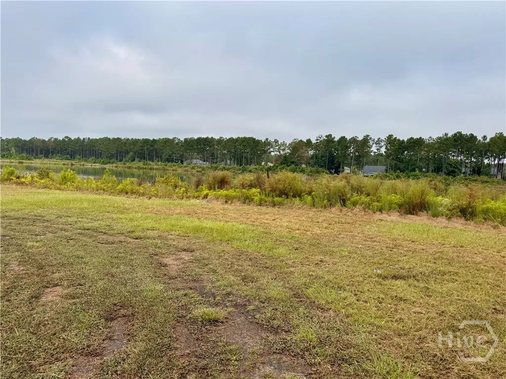 1550 Belfast River Road Richmond Hill GA 31324
