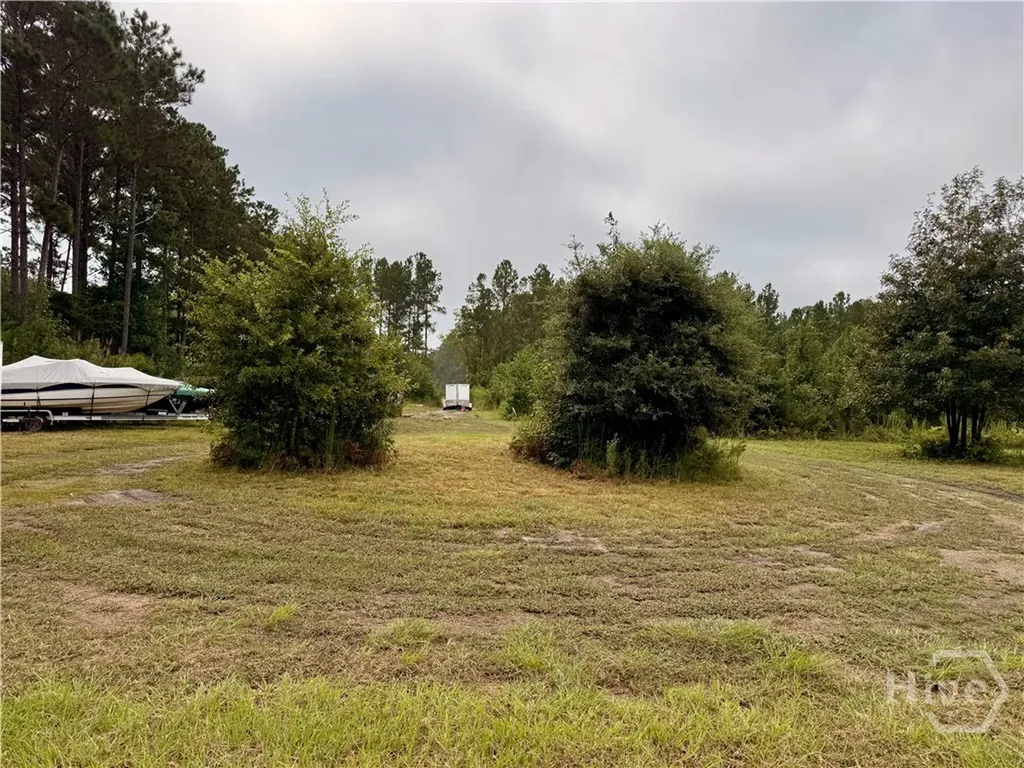 1550 Belfast River Road Richmond Hill GA 31324