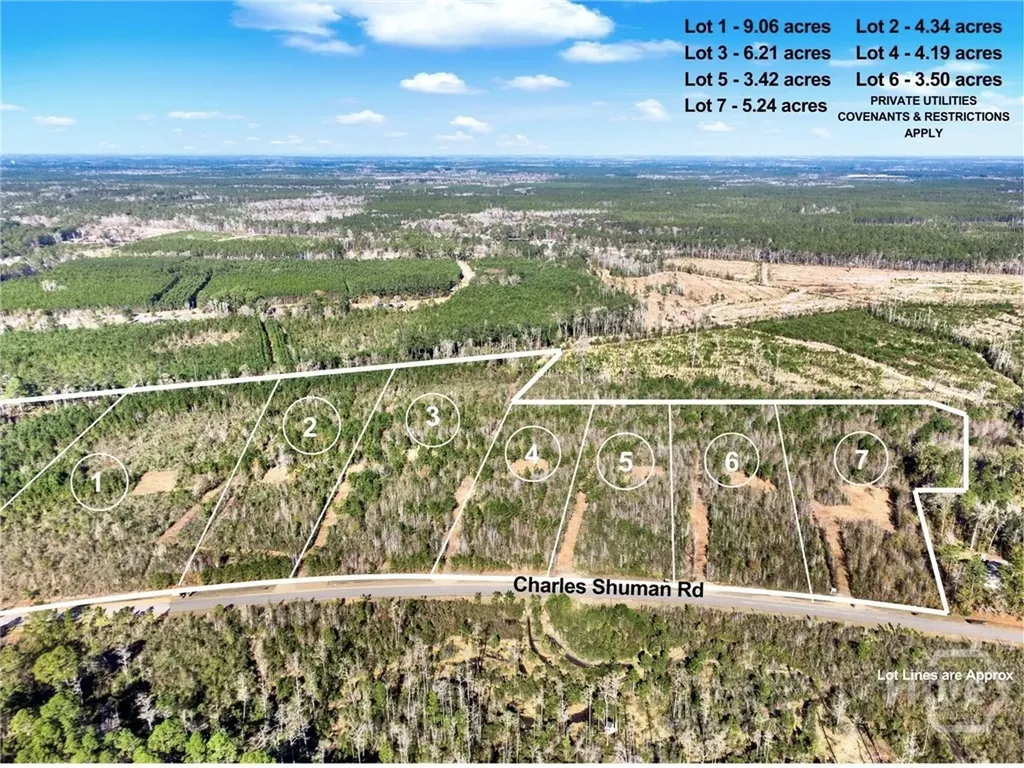Lot 2 Charles Shuman Road Pembroke GA 31321