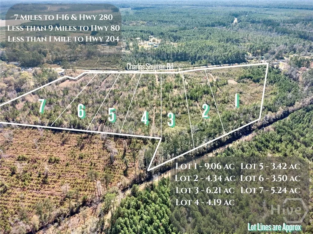 Lot 2 Charles Shuman Road Pembroke GA 31321
