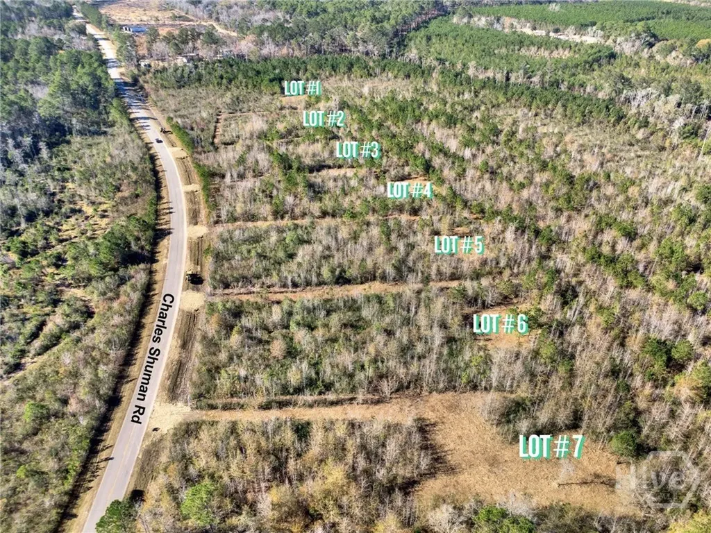 Lot 2 Charles Shuman Road Pembroke GA 31321