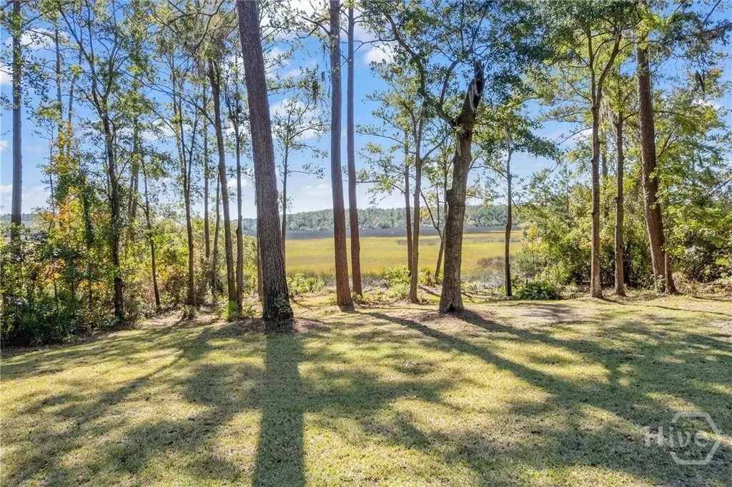 262 Mingarry Drive Richmond Hill GA 31324