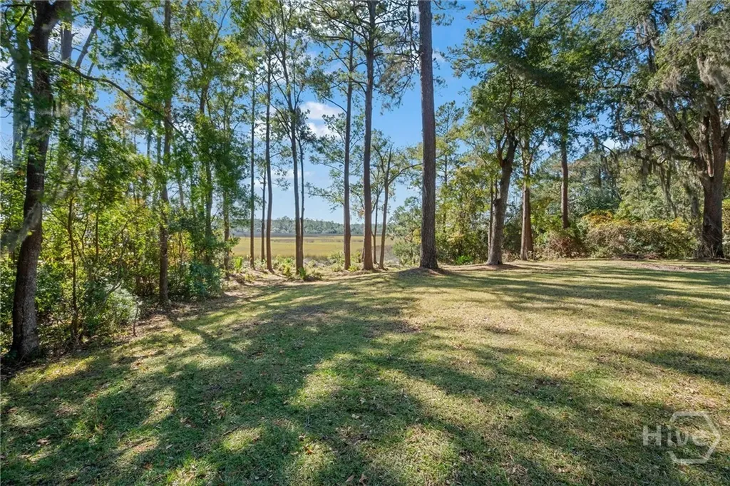 262 Mingarry Drive Richmond Hill GA 31324
