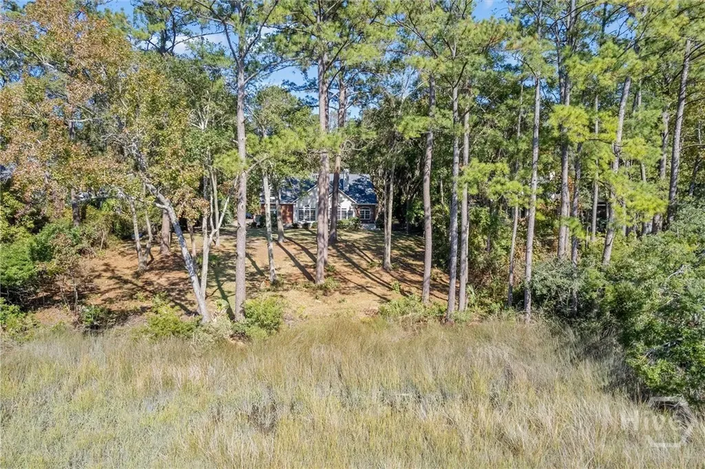 262 Mingarry Drive Richmond Hill GA 31324