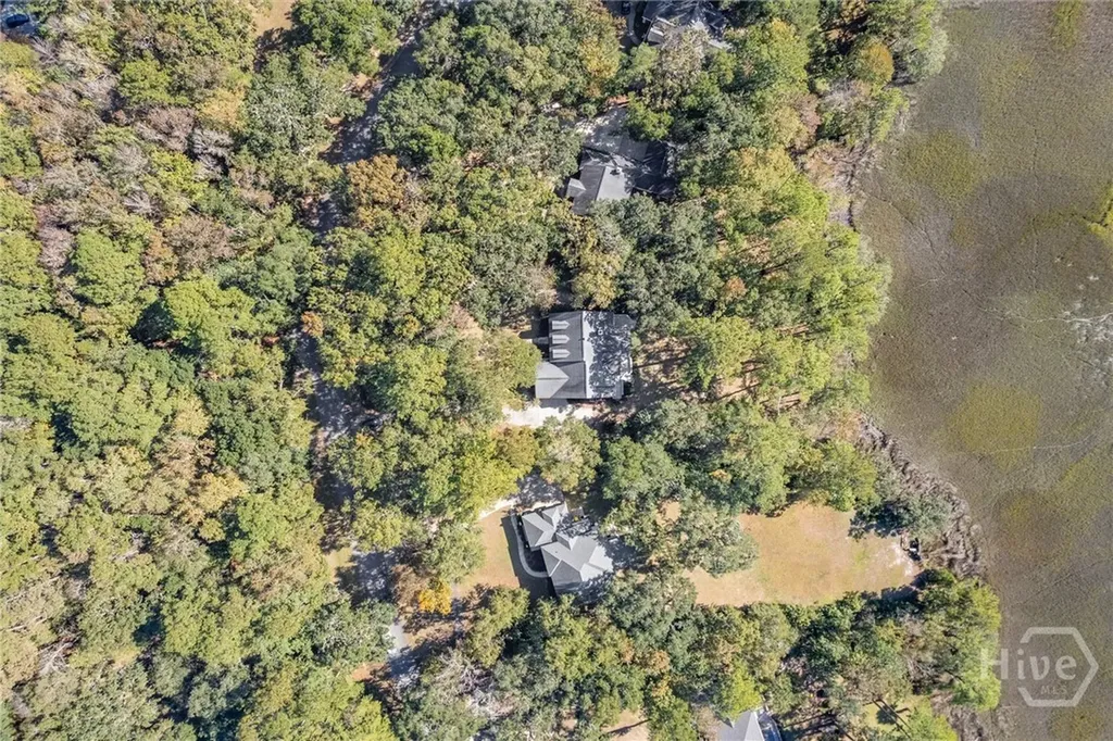 262 Mingarry Drive Richmond Hill GA 31324