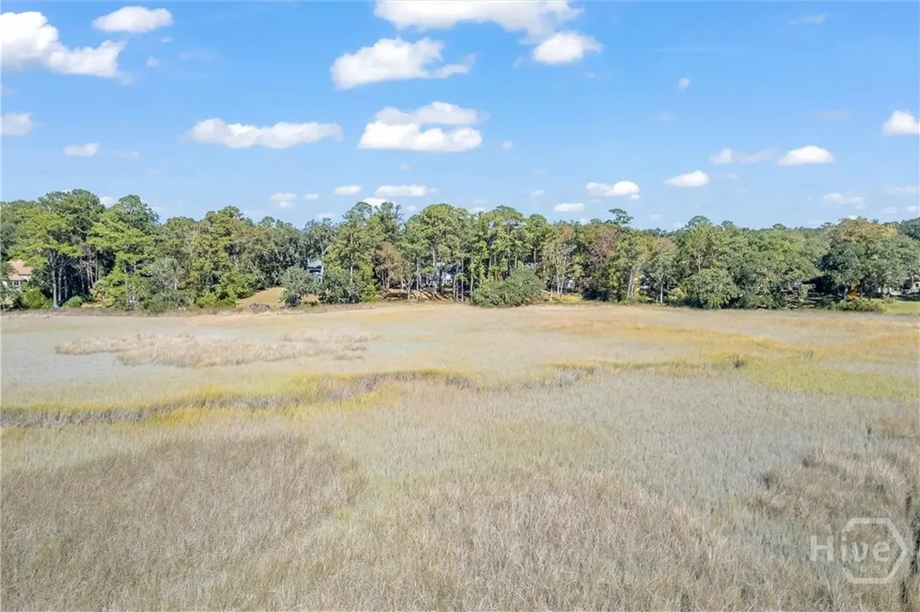 262 Mingarry Drive Richmond Hill GA 31324