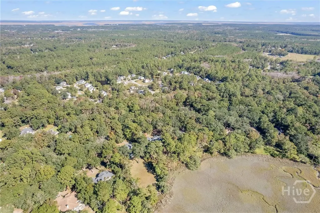 262 Mingarry Drive Richmond Hill GA 31324