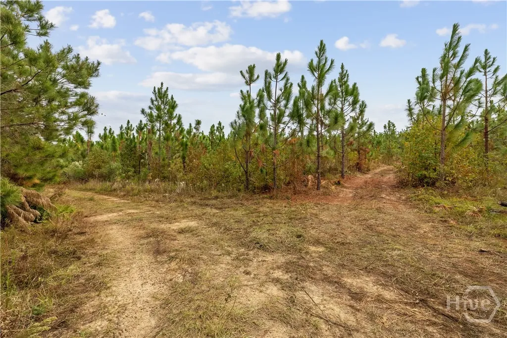 0 Highway 297 - Tracts 2, 3, 4 &5 Soperton GA 30457