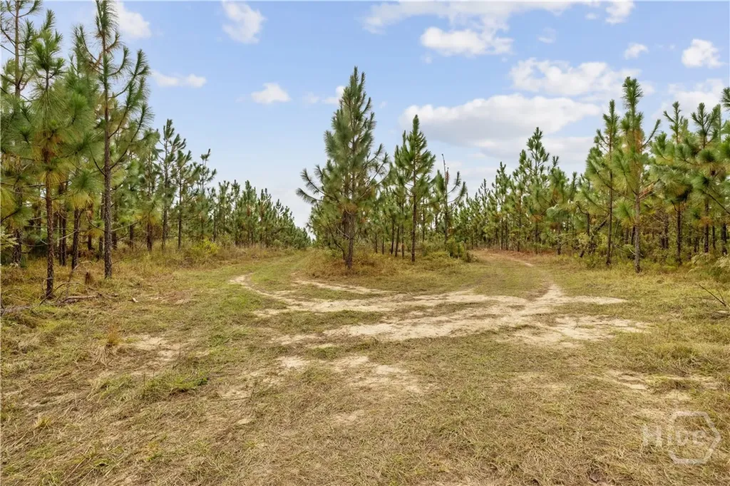 0 Highway 297 - Tracts 2, 3, 4 &5 Soperton GA 30457