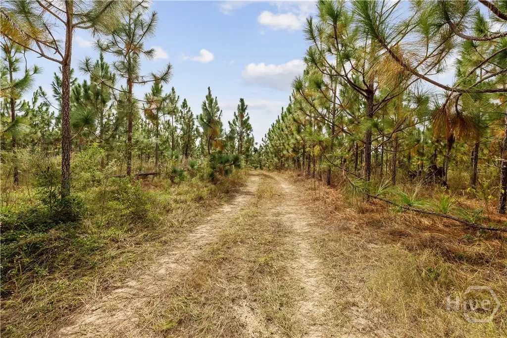 0 Highway 297 - Tracts 2, 3, 4 &5 Soperton GA 30457