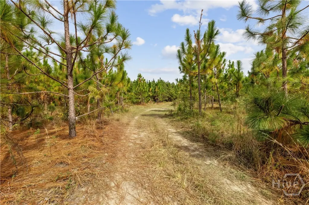 0 Highway 297 - Tracts 2, 3, 4 &5 Soperton GA 30457