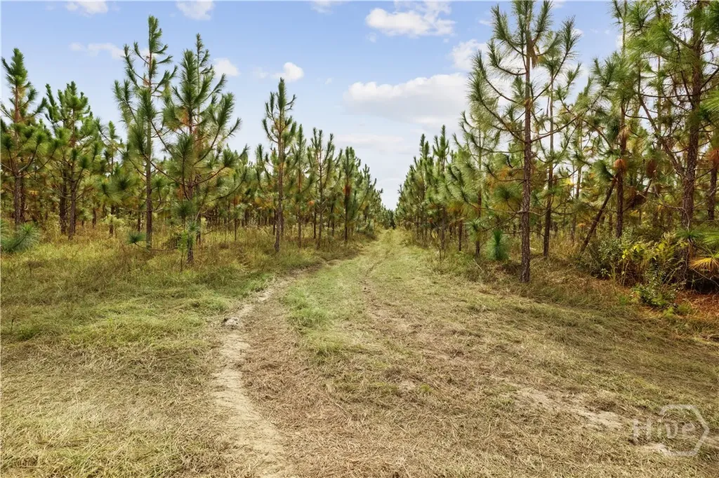 0 Highway 297 - Tracts 2, 3, 4 &5 Soperton GA 30457