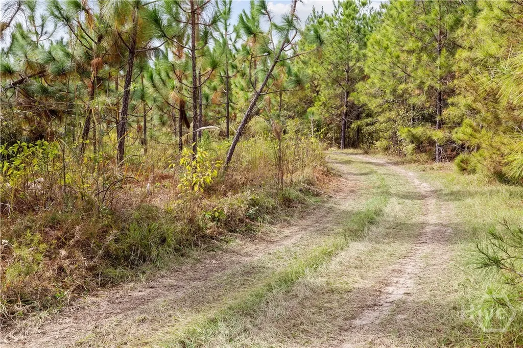 0 Highway 297 - Tracts 2, 3, 4 &5 Soperton GA 30457
