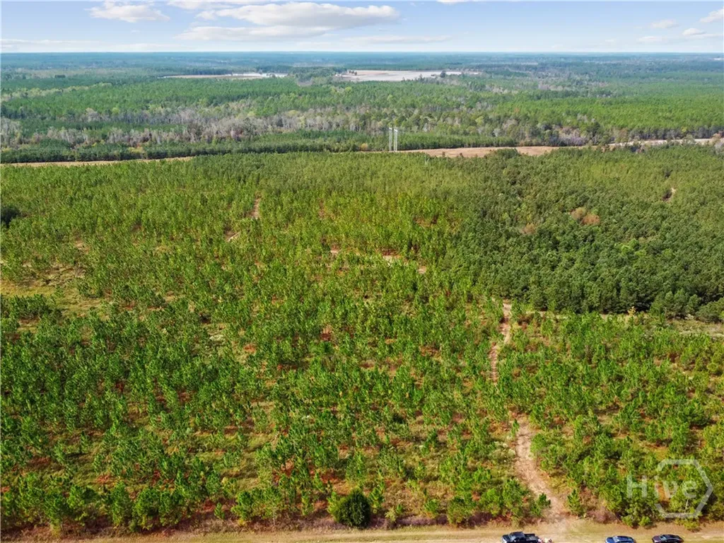 0 Highway 297 - Tracts 2, 3, 4 &5 Soperton GA 30457