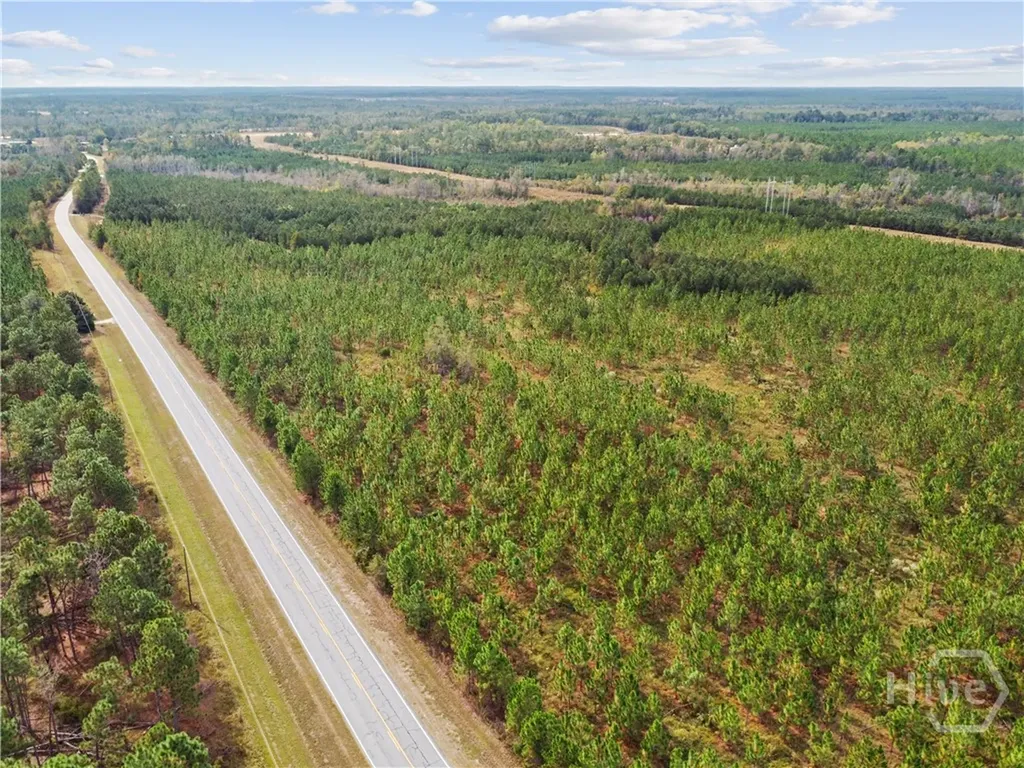 0 Highway 297 - Tracts 2, 3, 4 &5 Soperton GA 30457
