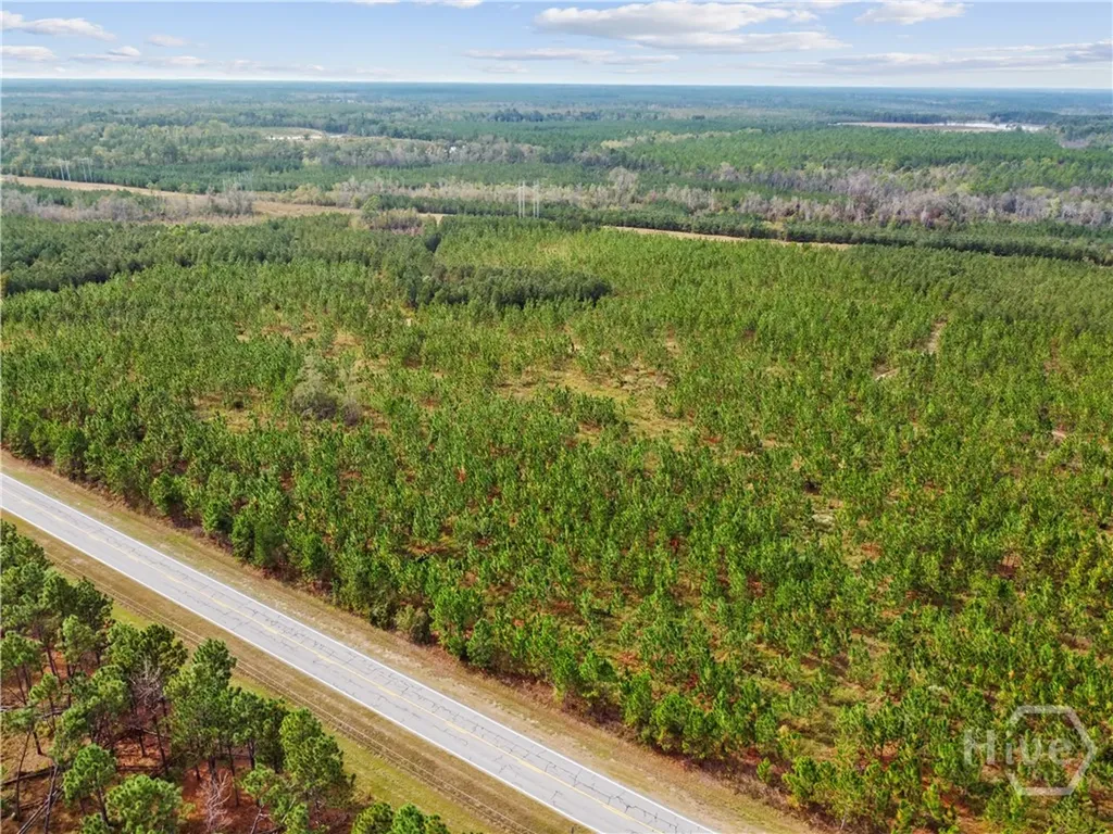 0 Highway 297 - Tracts 2, 3, 4 &5 Soperton GA 30457