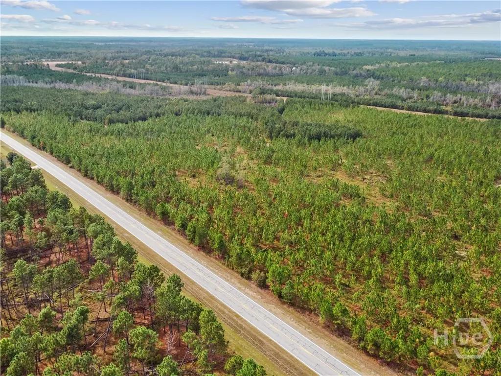 0 Highway 297 - Tracts 2, 3, 4 &5 Soperton GA 30457
