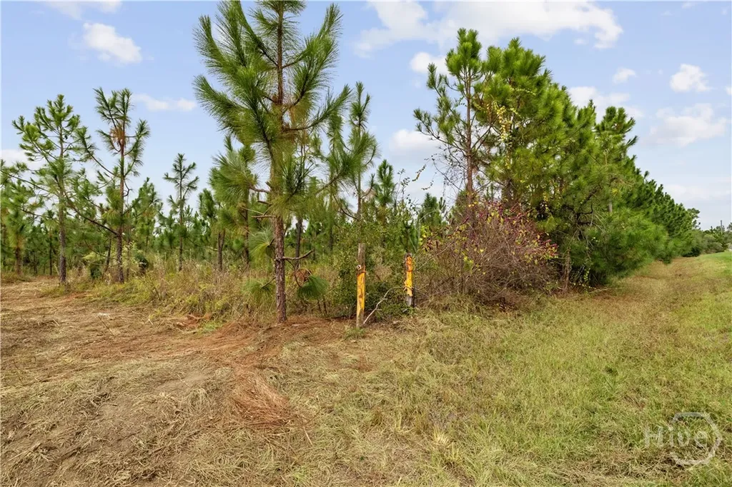 0 Highway 297 - Tracts 2, 3, 4 &5 Soperton GA 30457