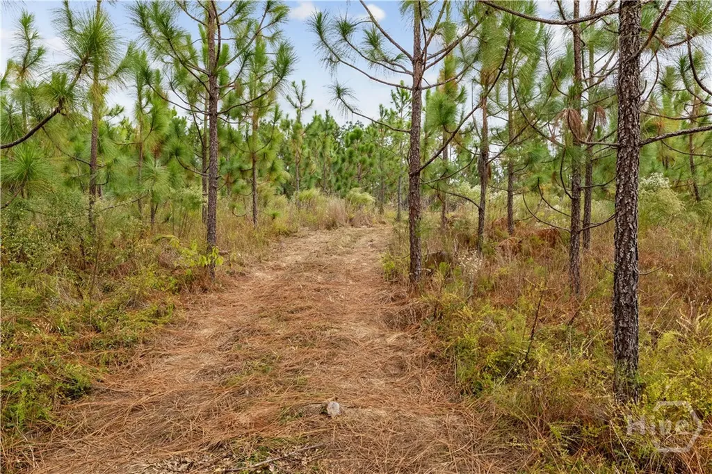 0 Highway 297 - Tracts 2, 3, 4 &5 Soperton GA 30457