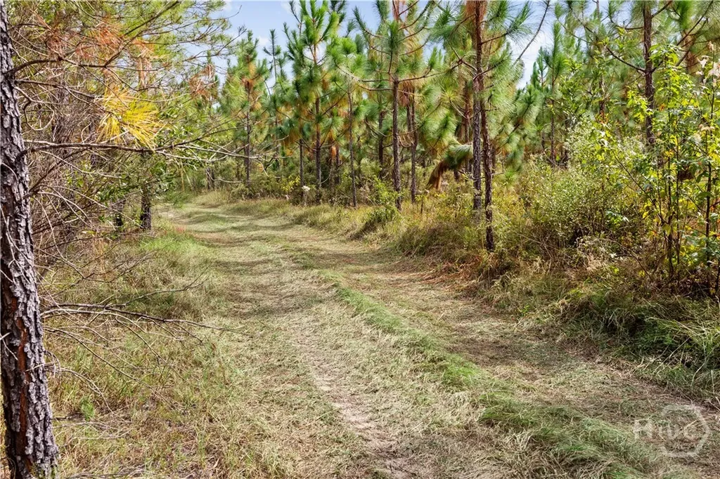 0 Highway 297 - Tracts 4 & 5 Soperton GA 30457