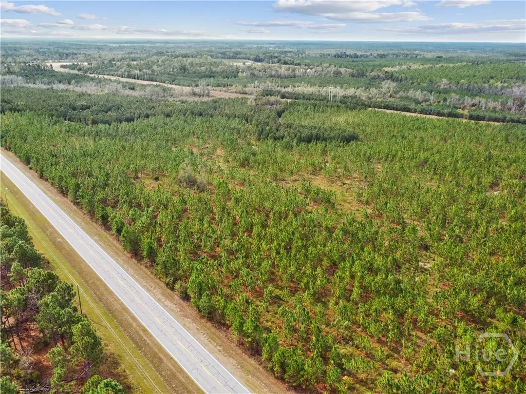 0 Highway 297 - Tracts 4 & 5 Soperton GA 30457