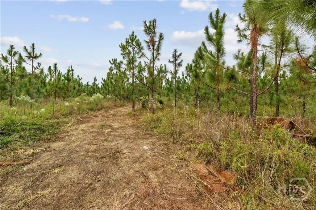 0 Highway 297 - Tracts 4 & 5 Soperton GA 30457