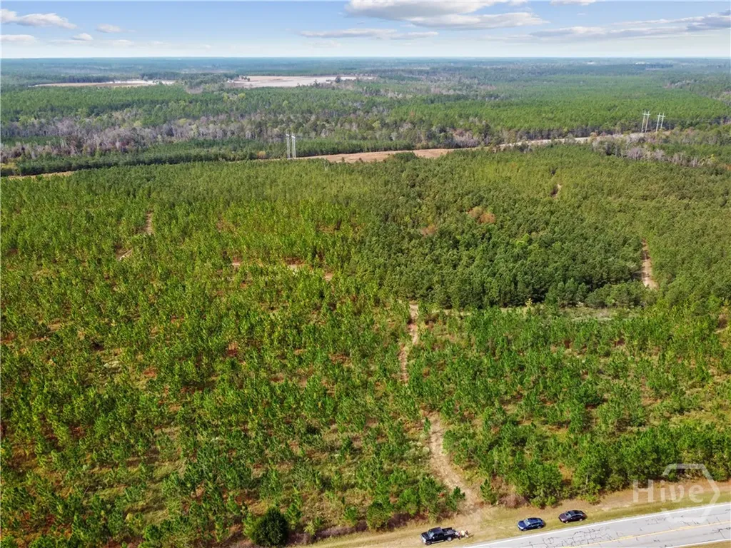 0 Highway 297 - Tracts 4 & 5 Soperton GA 30457