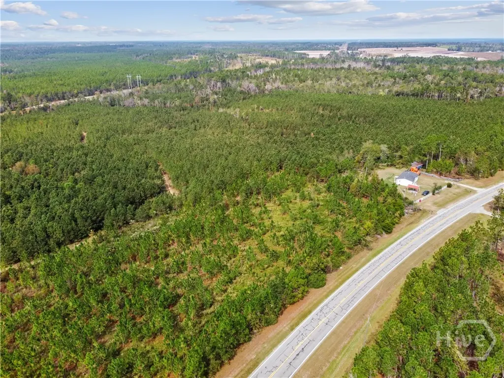 0 Highway 297 - Tracts 4 & 5 Soperton GA 30457