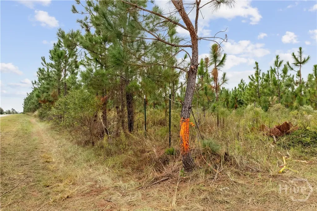 0 Highway 297 - Tracts 4 & 5 Soperton GA 30457