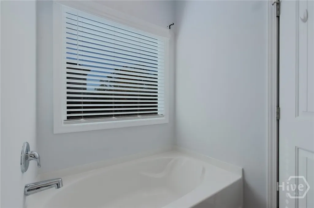 125 NE Halcyon Way Ludowici GA 31316
