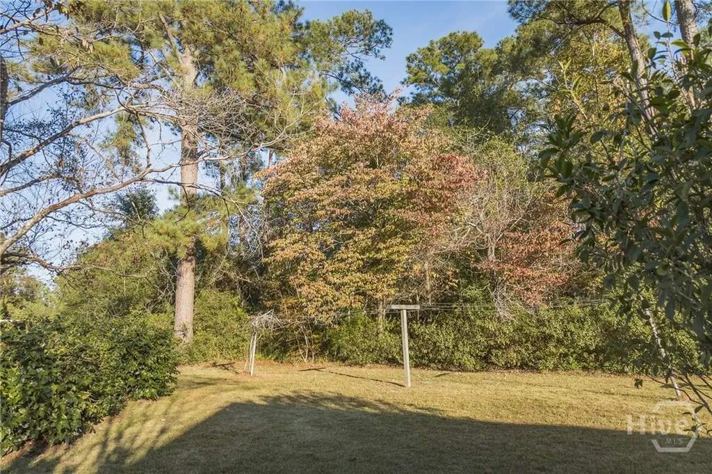 341 Azalea Avenue Millen GA 30442