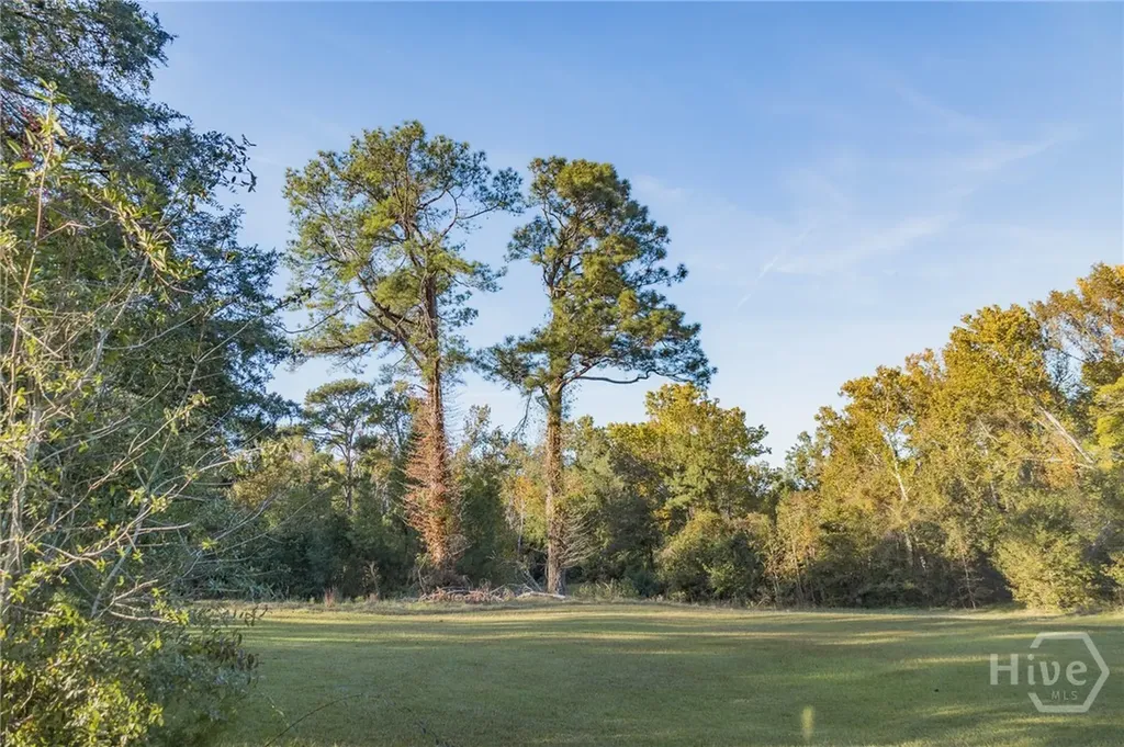 341 Azalea Avenue Millen GA 30442
