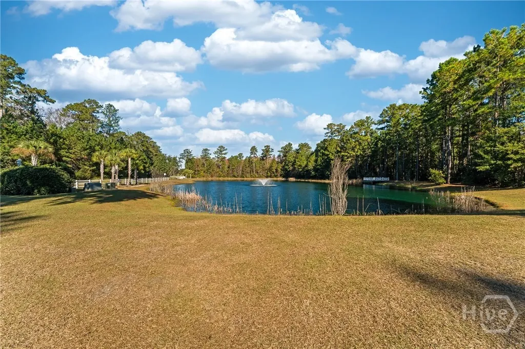 250 James Dunham Parkway Richmond Hill GA 31324