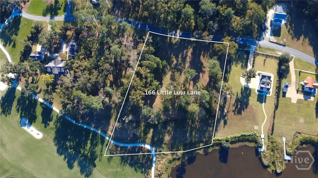 166 Little Lulu Lane Richmond Hill GA 31324