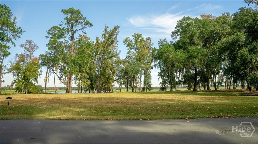 166 Little Lulu Lane Richmond Hill GA 31324