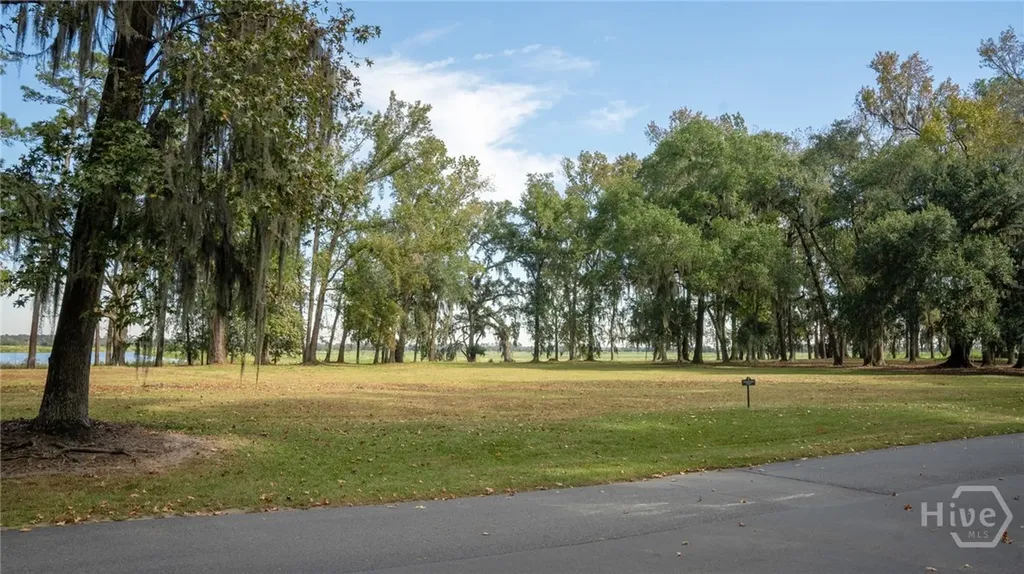 166 Little Lulu Lane Richmond Hill GA 31324