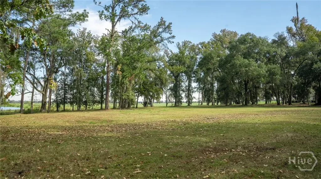 166 Little Lulu Lane Richmond Hill GA 31324