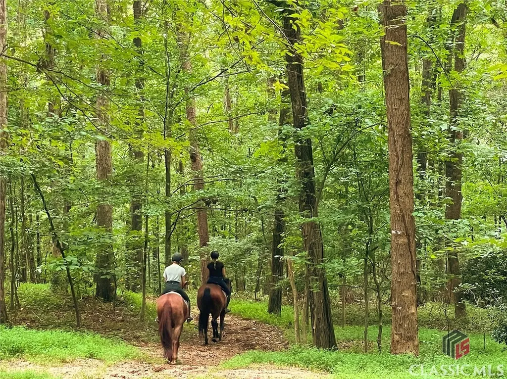 7804 Jefferson River Road Athens GA 30607