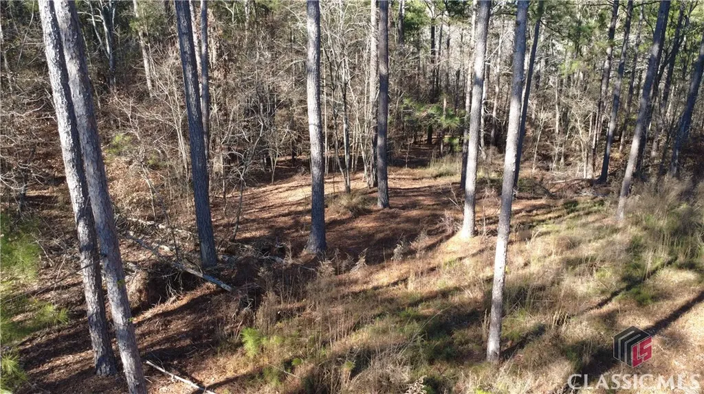 1051 Bluff Road Elberton GA 30635