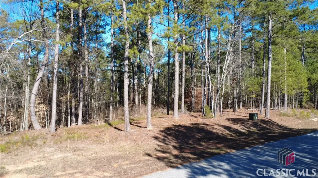 1051 Bluff Road Elberton GA 30635