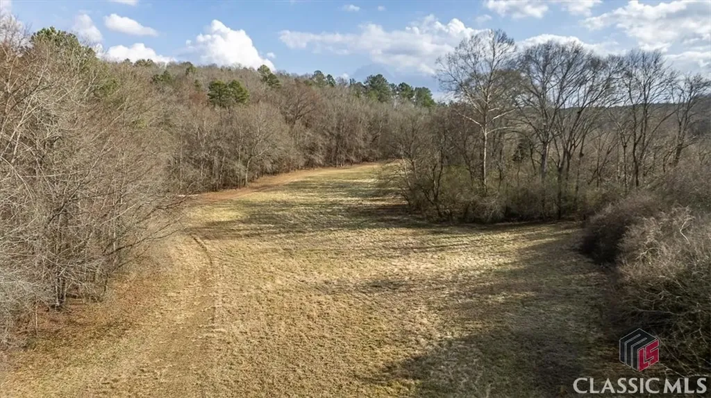 1257 Seymour Road Bowman GA 30624