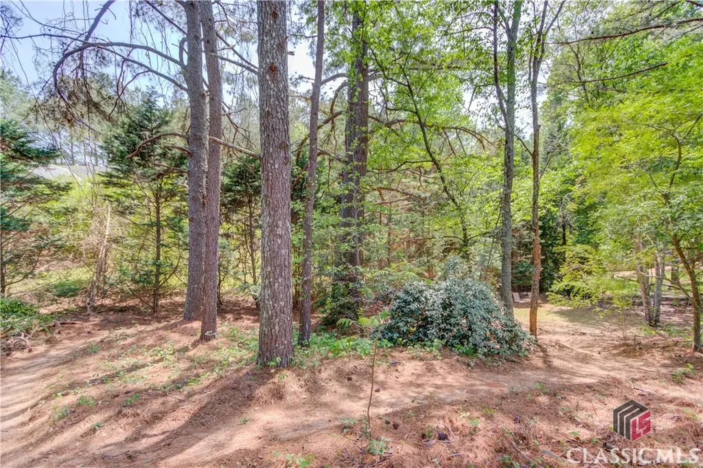 3095 Willow Park Drive Dacula GA 30019