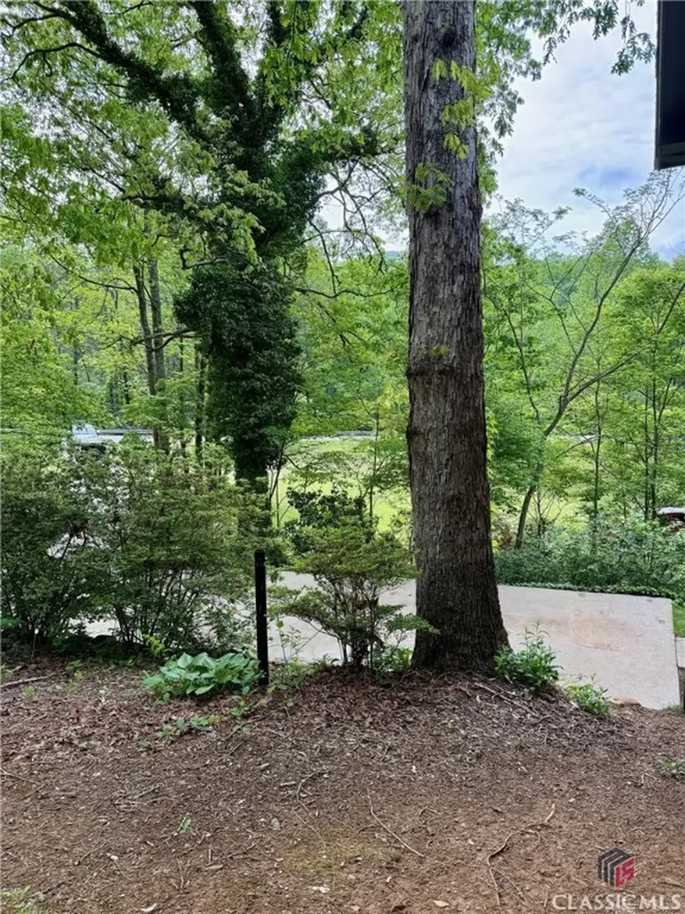 3517 Duncan Bridge Road Cleveland GA 30528