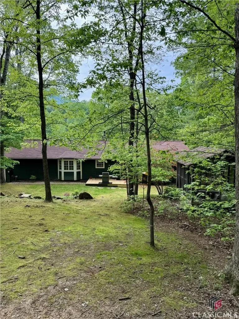 3517 Duncan Bridge Road Cleveland GA 30528