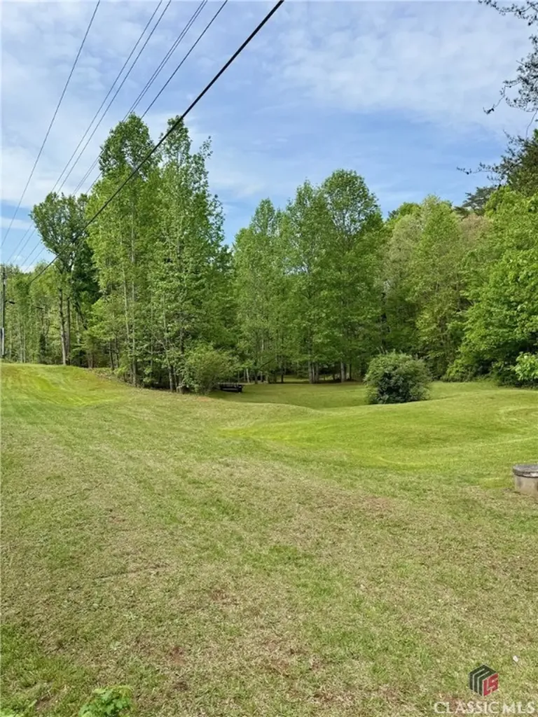 3517 Duncan Bridge Road Cleveland GA 30528