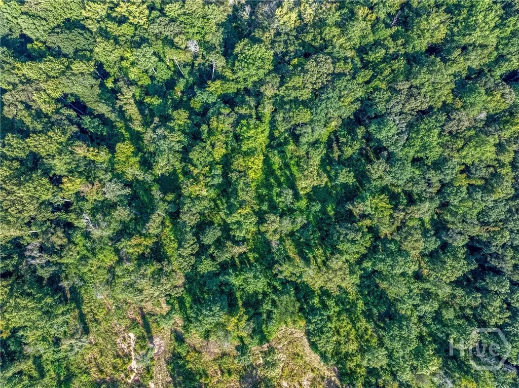 Lot 5 Stewart Loop Jefferson GA 30549