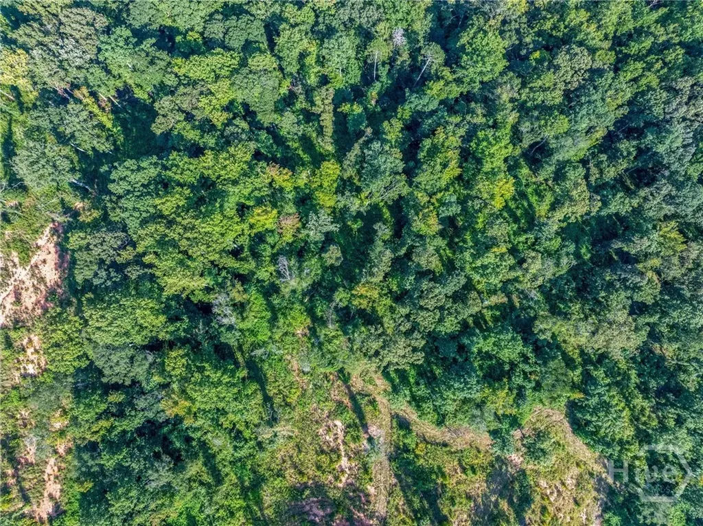 Lot 5 Stewart Loop Jefferson GA 30549